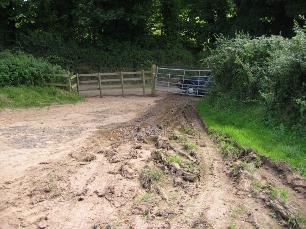 140_4026.jpg (111002 bytes)