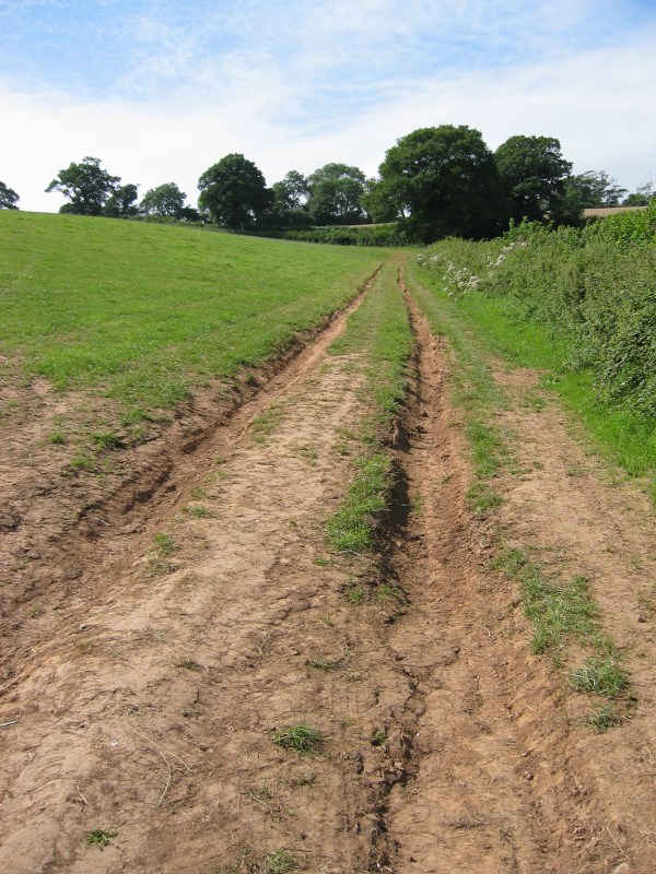 140_4033_r1.jpg (178286 bytes)