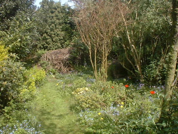garden end 600.jpg (168114 bytes)