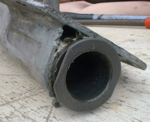 front bush.JPG (120186 bytes)