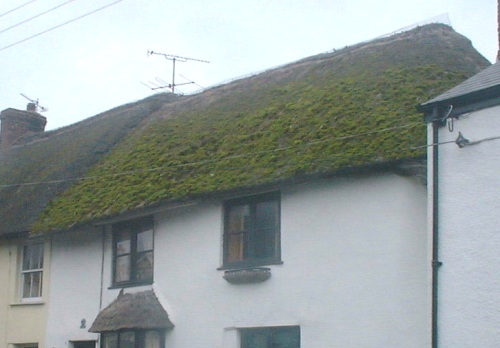 old thatched roof.JPG (50188 bytes)