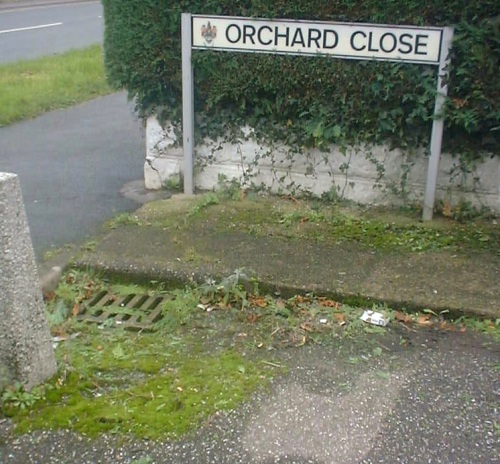 orchard close.JPG (106651 bytes)