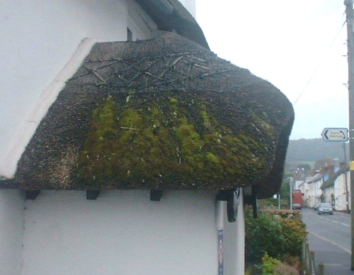 roof farmhouse cottage.JPG (61359 bytes)