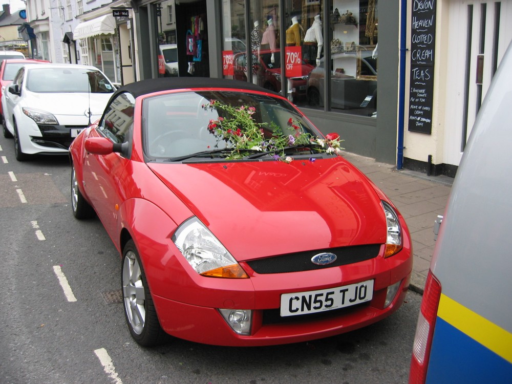 sidmouth flowers on car 2011.jpg (195862 bytes)