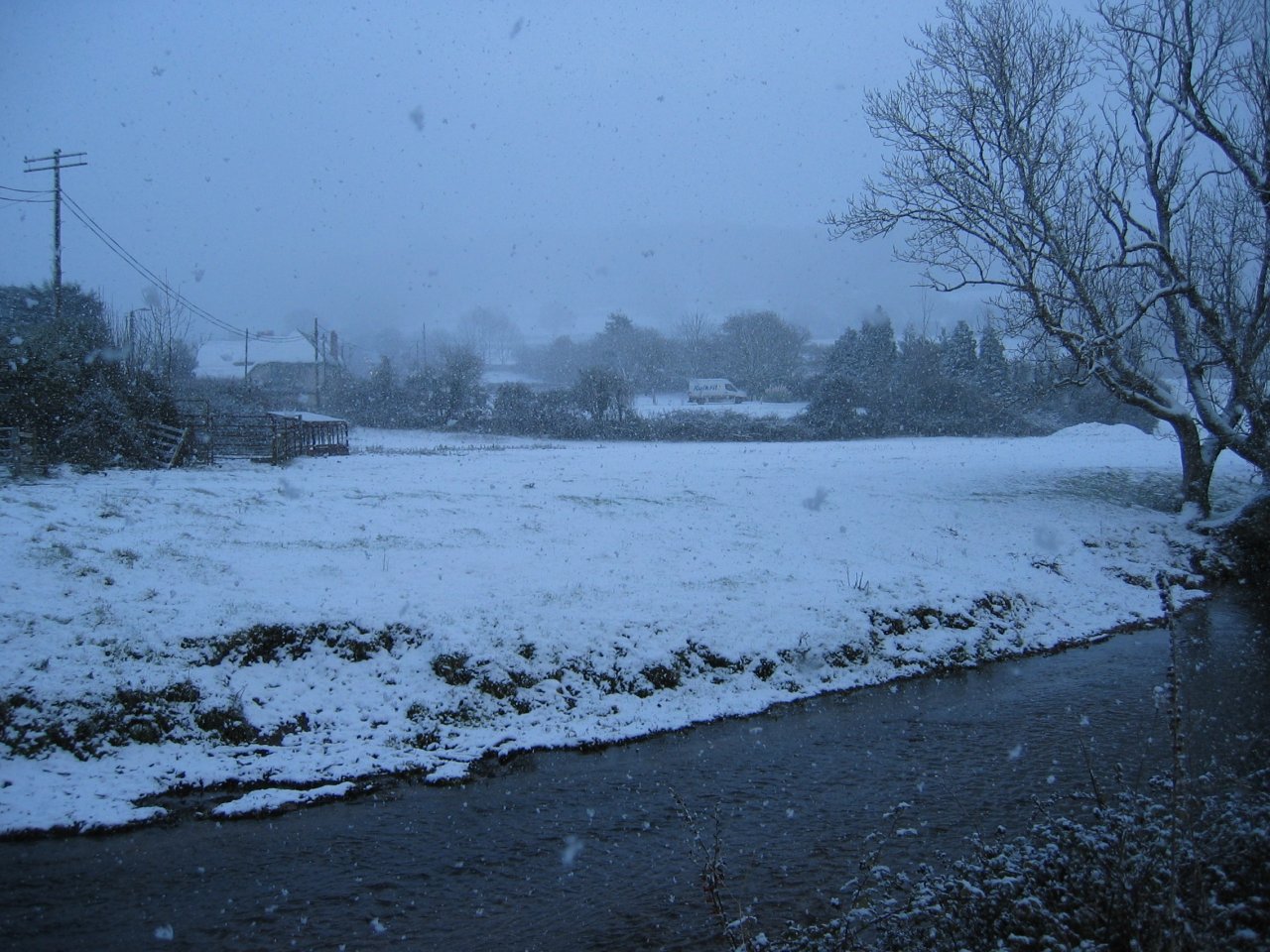 snow rear garden 17 Dec 2010.JPG (257864 bytes)